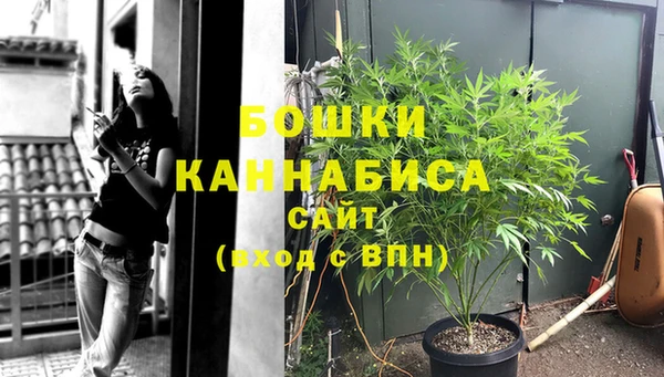 дурь Переславль-Залесский